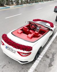 گل آرایی ماشین عروس کد 401