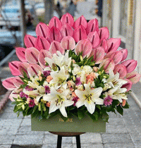 باکس گل کد 251