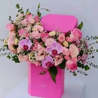 باکس گل کد 254