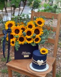 باکس گل کد 97